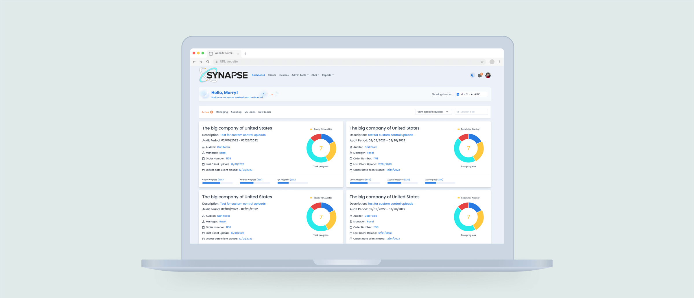 Synapse – Complaince Audit Company Web App Development