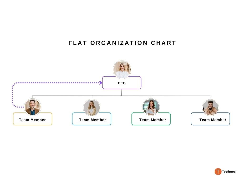 Flat organization structure