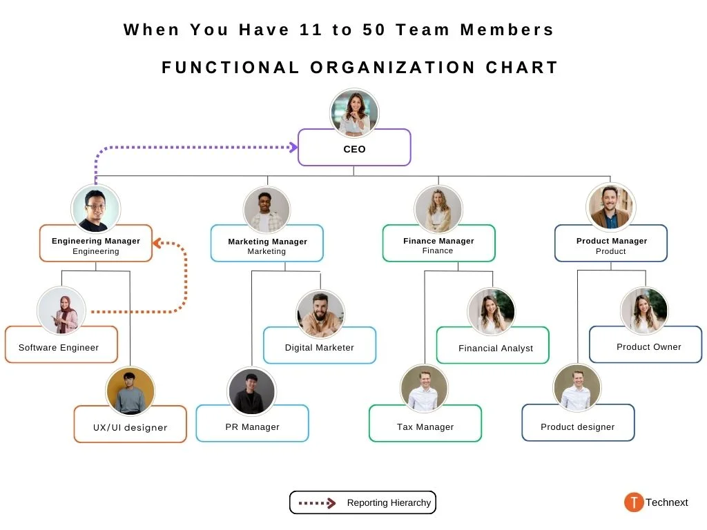 When You Have 11 to 50 Team Members functional organization chart