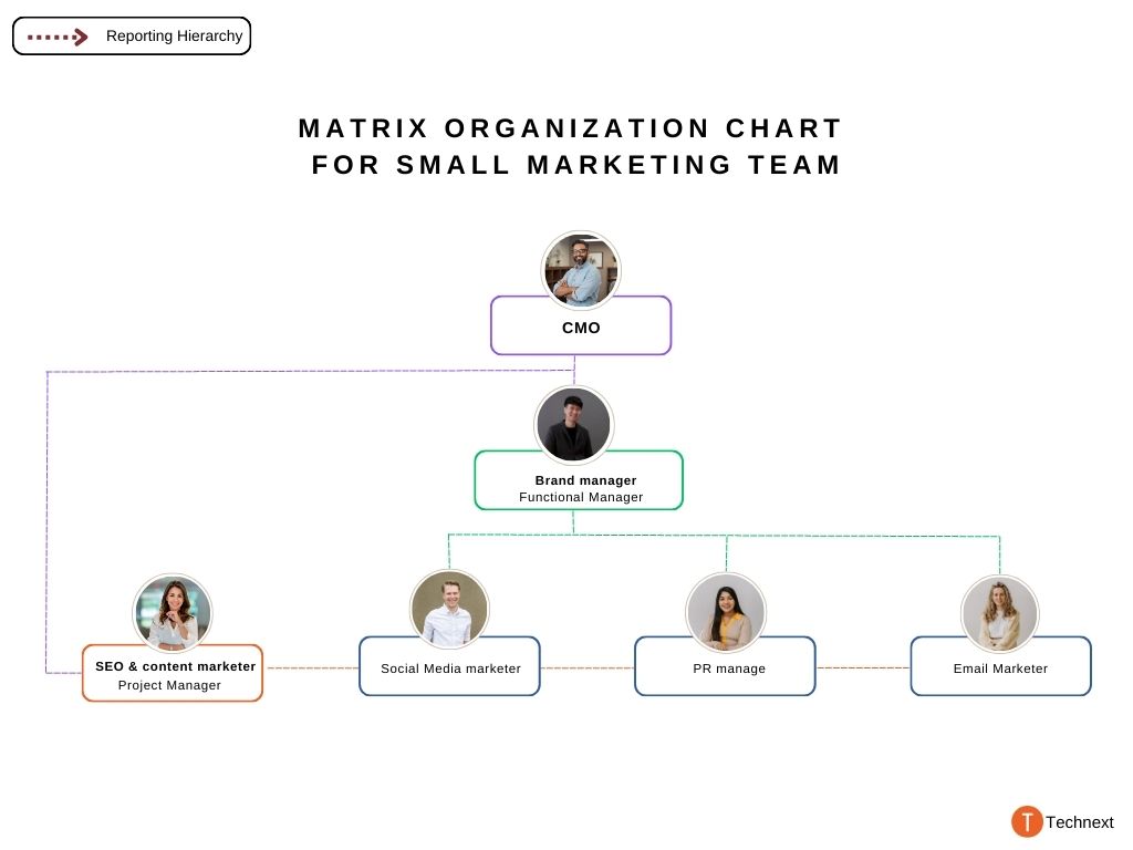 marketing team structure