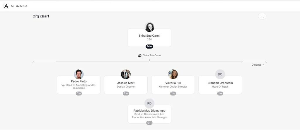 Real-life eCommerce team Example 
