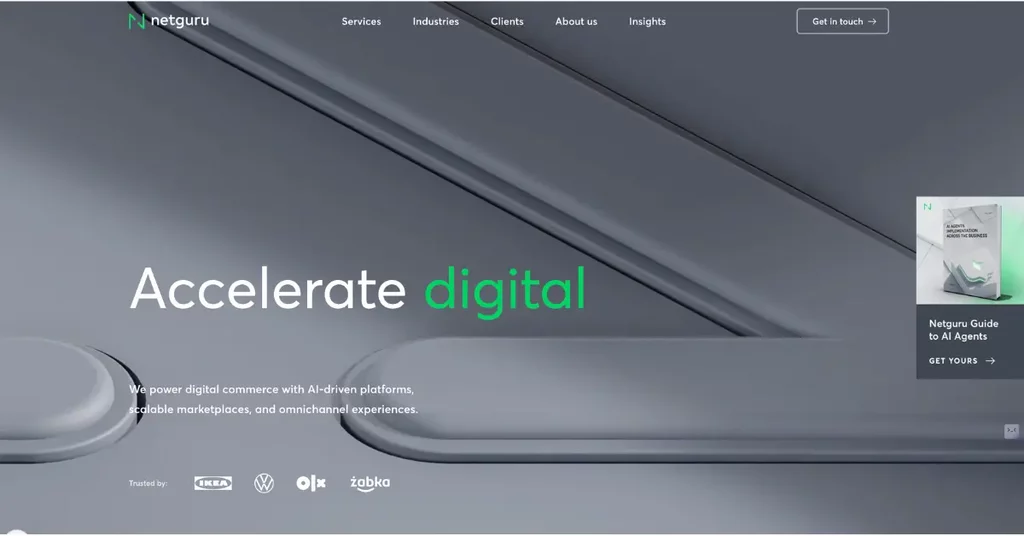 Netguru