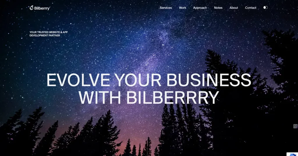 Bilberrry